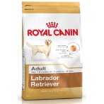 CANINE LABRADOR ADULT 12kg RC45370