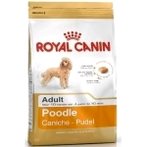 CANINE POODLE ADULT 1.5kg RC74317