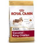 CAVALIER KING CHARLES ADULT 1.5kg RC74350
